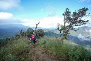 BIB: 
                            <button type="button" onclick="openModal(22371836)" class="btn btn-primary btn-sm float-right btn-popup" data-toggle="modal" data-target=".modal-high-quality">
                        <i class="fas fa-shopping-cart"></i> Add to Cart
                    </button>
                                            <button type="button" onclick="isThisMe(22371836, true)" class="btn btn-success btn-sm float-right btn-popup btn-isme hidden" data-toggle="tooltip" data-placement="bottom" title="นี่คือรูปของคุณใช่ไหม คลิกที่นี่เพื่อเอาเข้าอัลบั้ม">
                        <i class="fas fa-plus"></i> Add to album
                    </button>
                    <button type="button" onclick="isThisMe(22371836, false)" class="btn btn-warning btn-sm float-right btn-popup btn-isnotme hidden">
                        <i class="fas fa-ban"></i> Remove from album
                    </button>